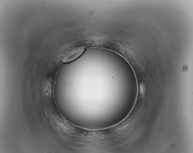 X0000093741203200710231204