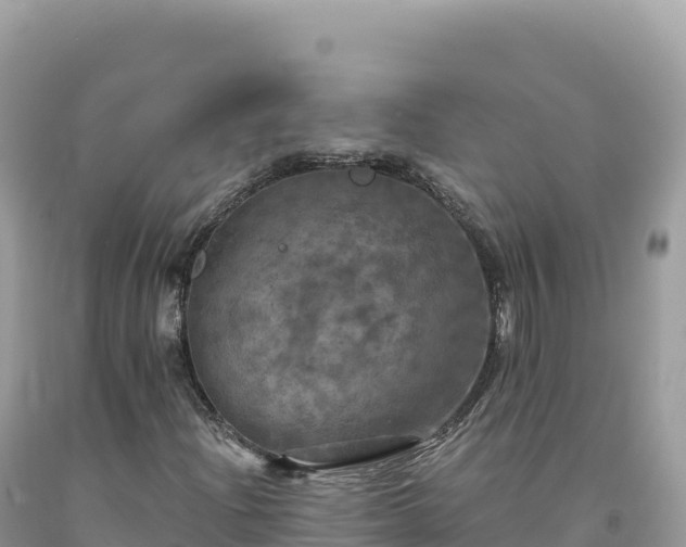 X0000093741204200710231204