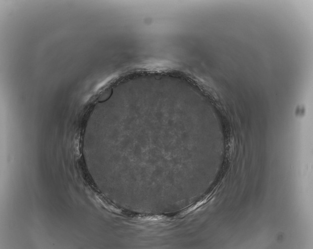 X0000093741205200710231204