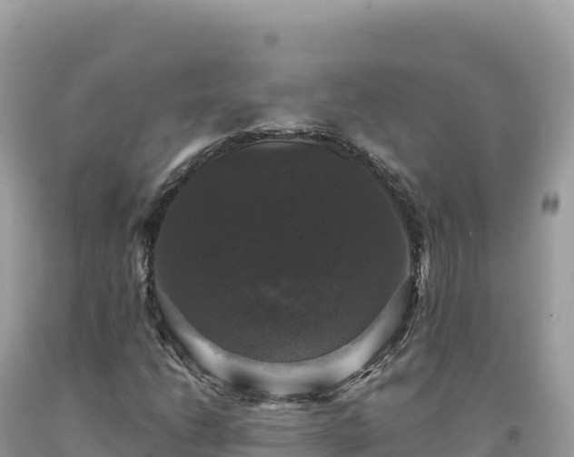 X0000093741206200710231204