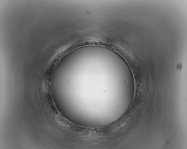 X0000093741207200710231204
