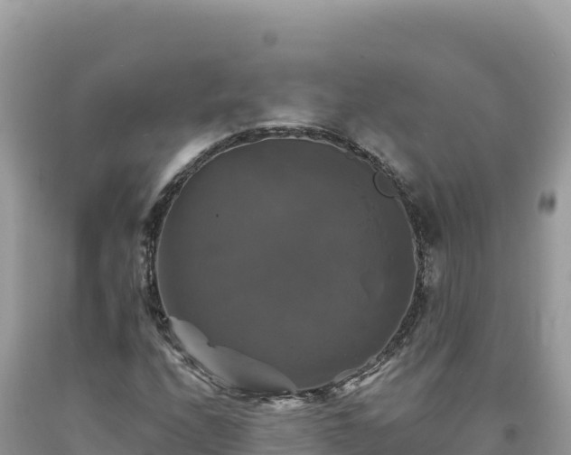 X0000093741208200710231204