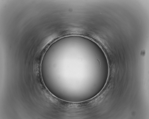X0000093741211200710231205