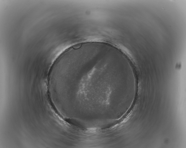 X0000093741212200710231205