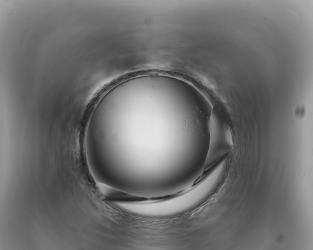 X0000093741214200710231205