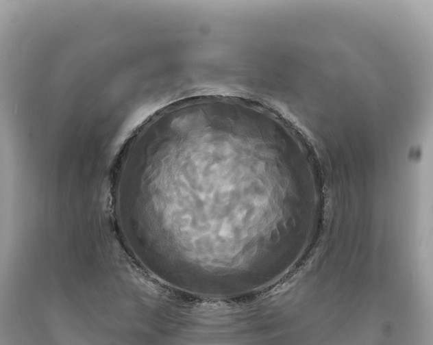X0000093741215200710231205