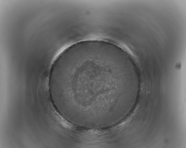 X0000093741216200710231205