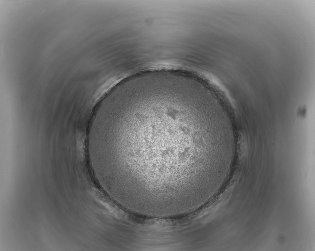 X0000093741217200710231205