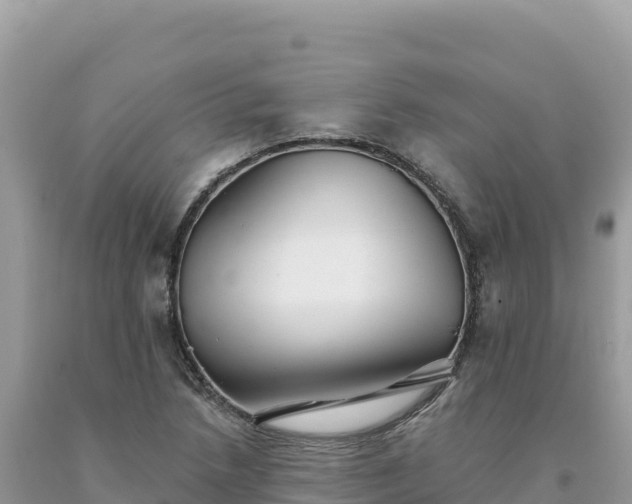X0000093741218200710231205