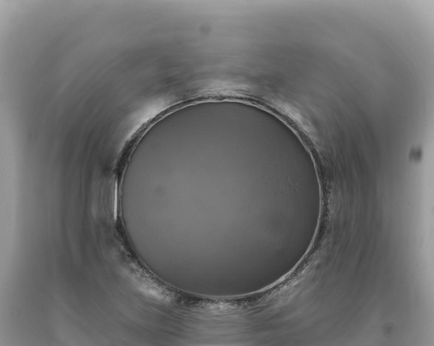 X0000093741219200710231205