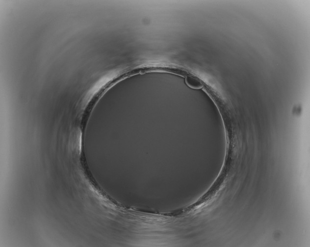 X0000093741221200710231205