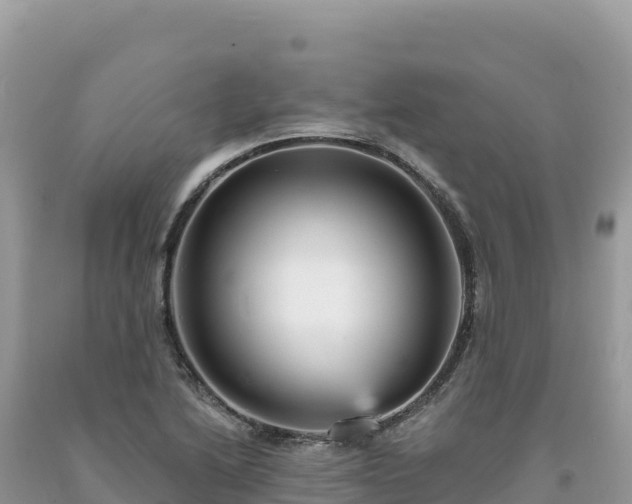 X0000093741222200710231205