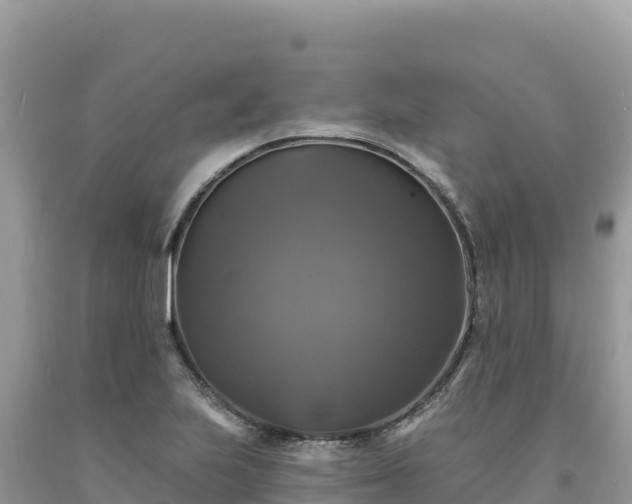X0000093741223200710231205