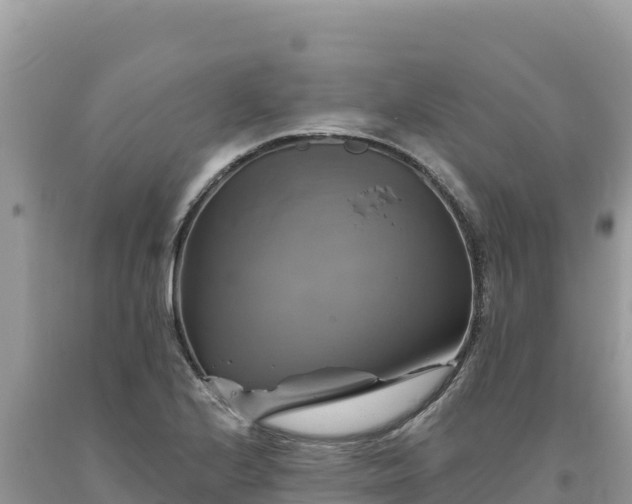 X0000093741224200710231205
