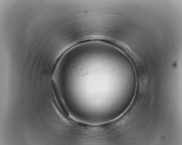 X0000093741225200710231205