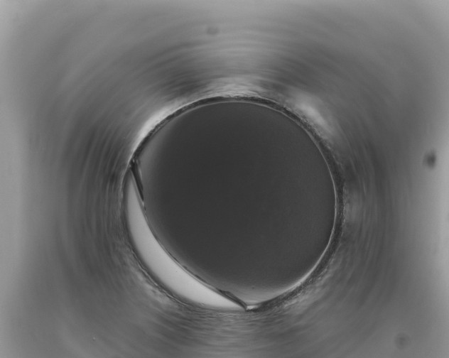 X0000093741226200710231205