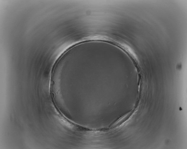 X0000093741228200710231205