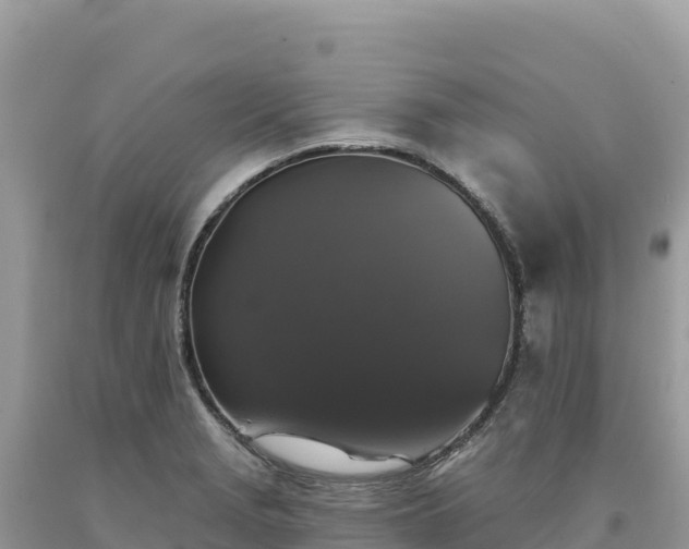 X0000093741229200710231205