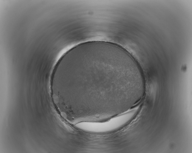 X0000093741230200710231205
