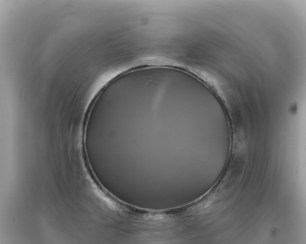 X0000093741231200710231205