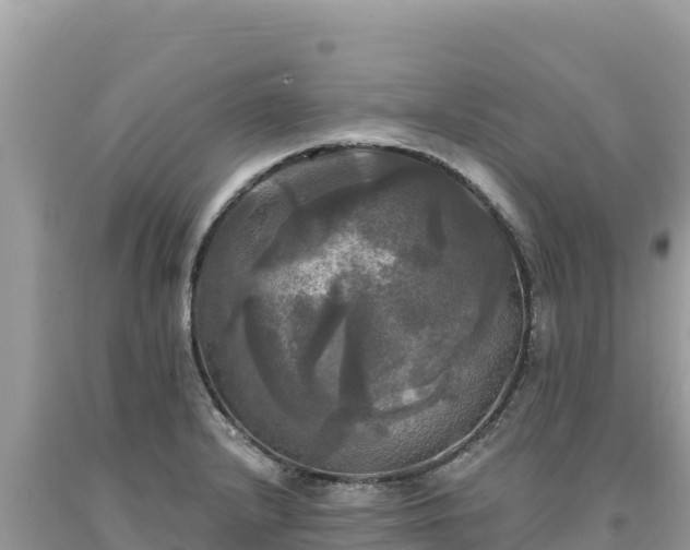 X0000093741232200710231205