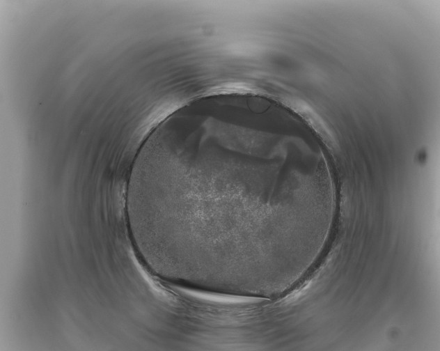 X0000093741233200710231205