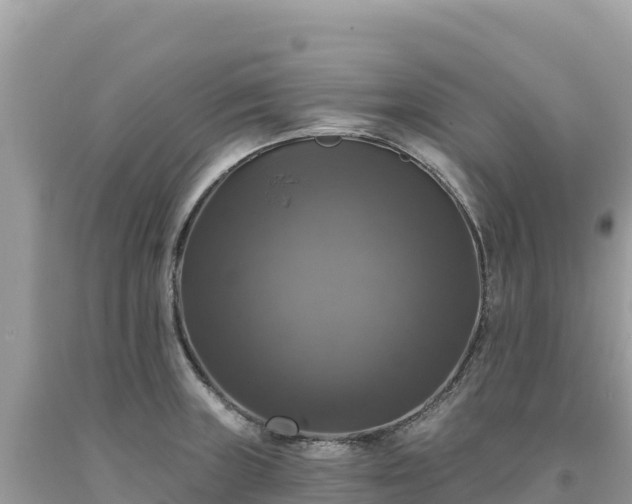 X0000093741235200710231205