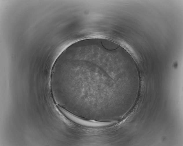X0000093741236200710231205