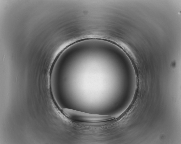 X0000093741238200710231205