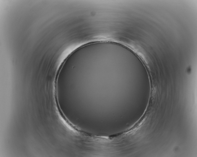 X0000093741239200710231205
