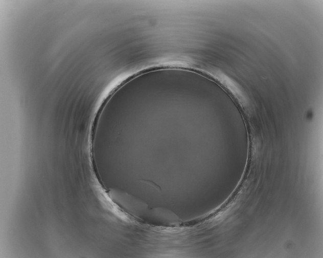 X0000093741240200710231205