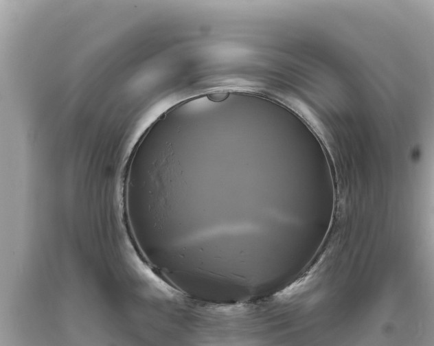 X0000093741243200710231205