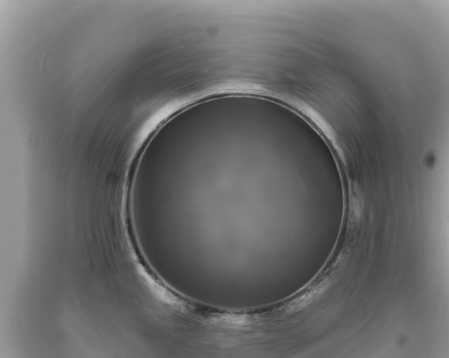 X0000093741245200710231205