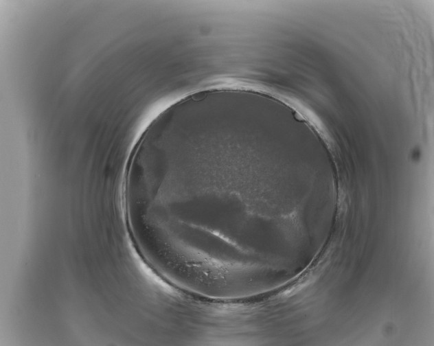 X0000093741247200710231205