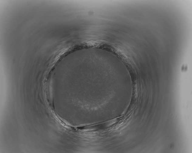 X0000093741249200710231204