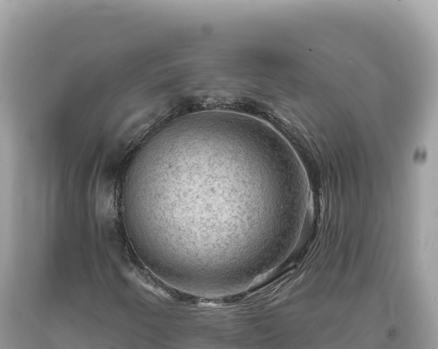 X0000093741250200710231204