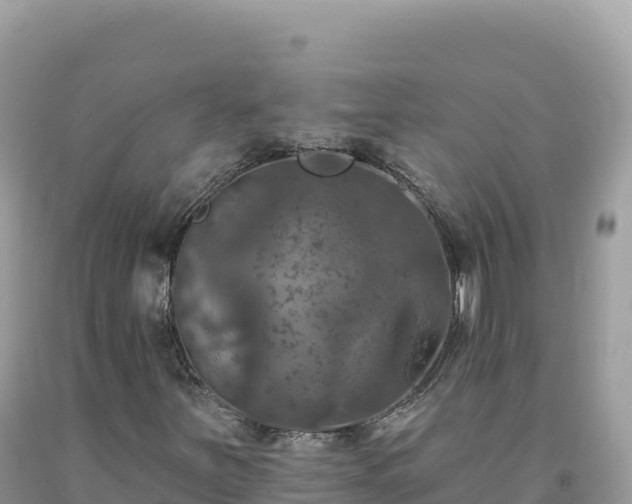 X0000093741251200710231204