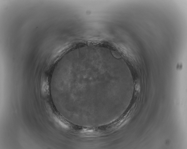 X0000093741252200710231204