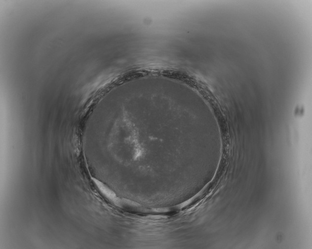 X0000093741253200710231204