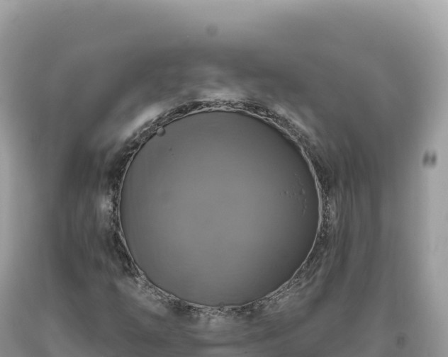 X0000093741254200710231204