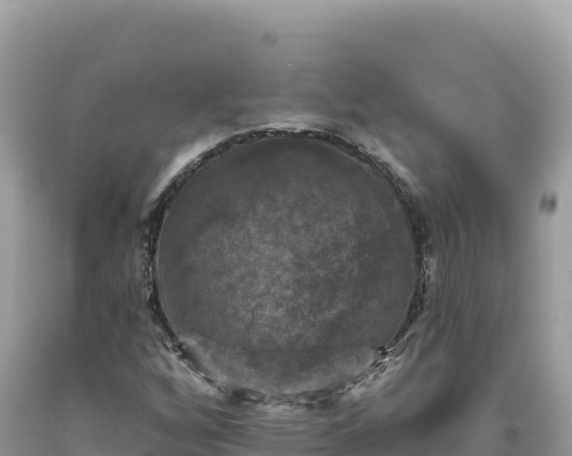 X0000093741256200710231204