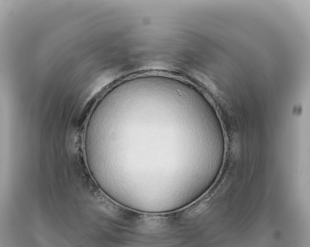 X0000093741258200710231204