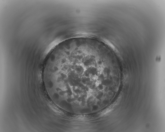 X0000093741259200710231204