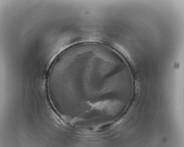 X0000093741260200710231204