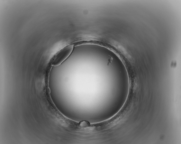 X0000093741261200710231204