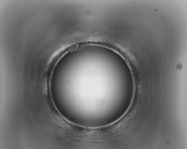 X0000093741262200710231204