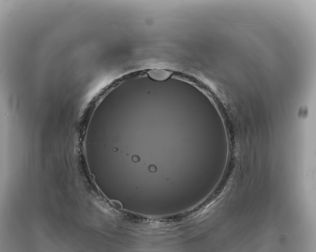 X0000093741263200710231204