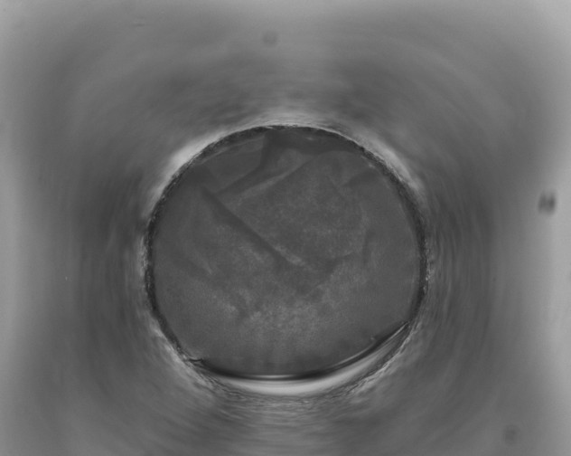 X0000093741264200710231204