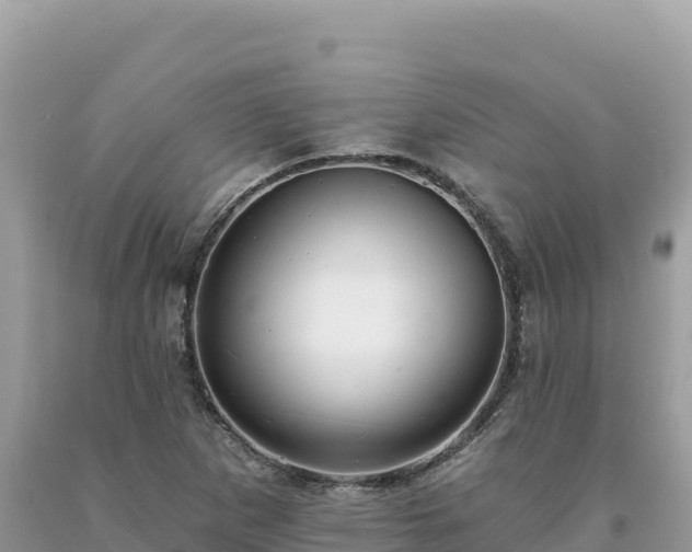 X0000093741265200710231204