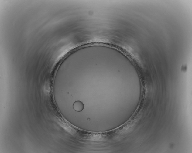 X0000093741266200710231204